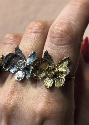 Anello - Breccia Studio - 